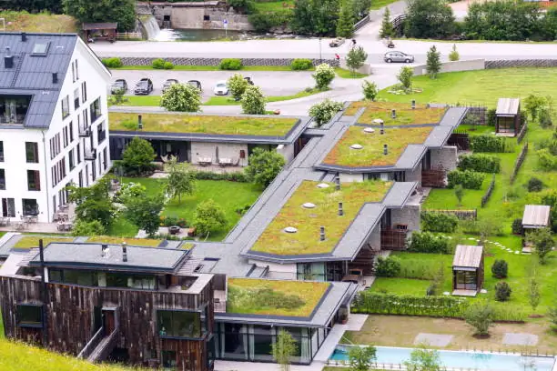 P.U.S. Termatex Sp. z o. o. - Green roof installation